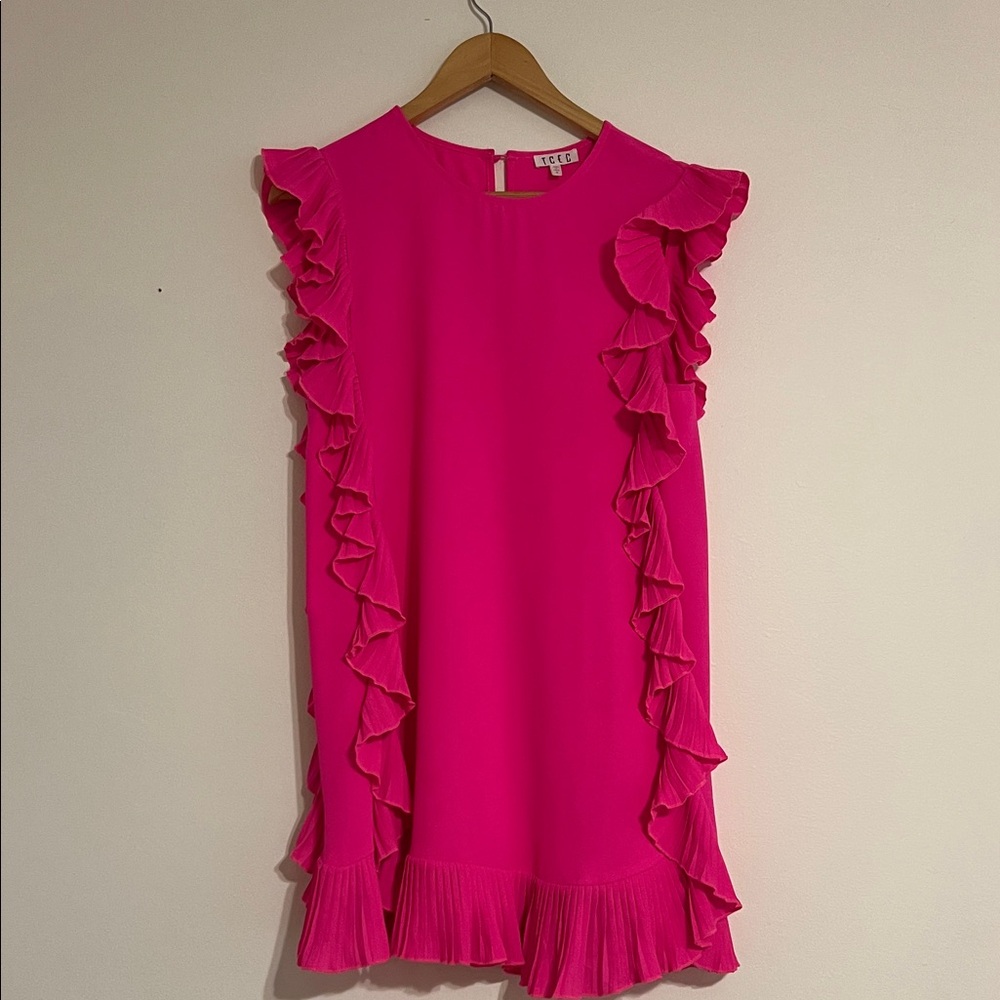 TCEC Pink Ruffle Mini Dress